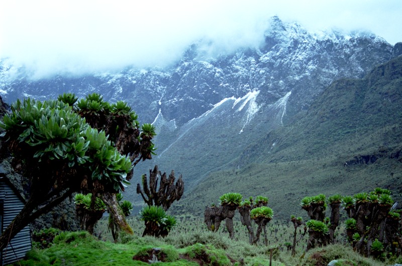 Rwenzori Mountains National Park